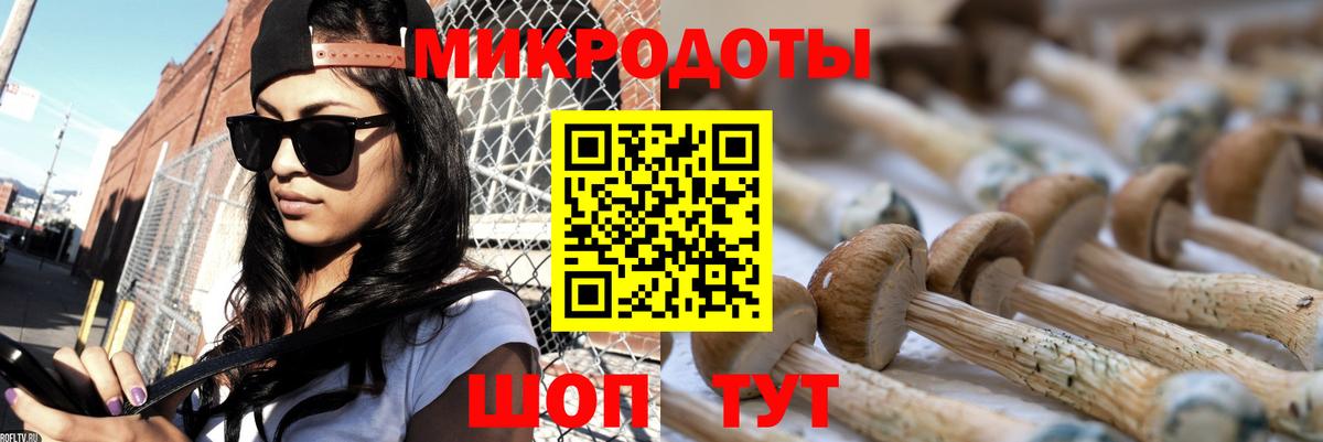 Грязи  Псилоцибиновые грибы мухоморы  Вход с VPN 