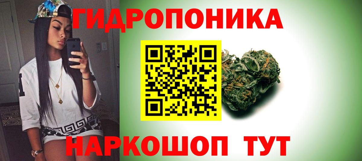 Конопля планчик  Вход с VPN  Грязи  Каннабис конопля  Каннабис индика 